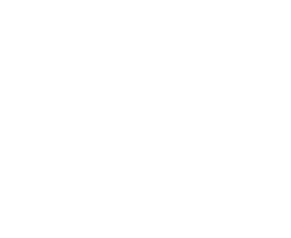 Logo Vana-Trans Logistic